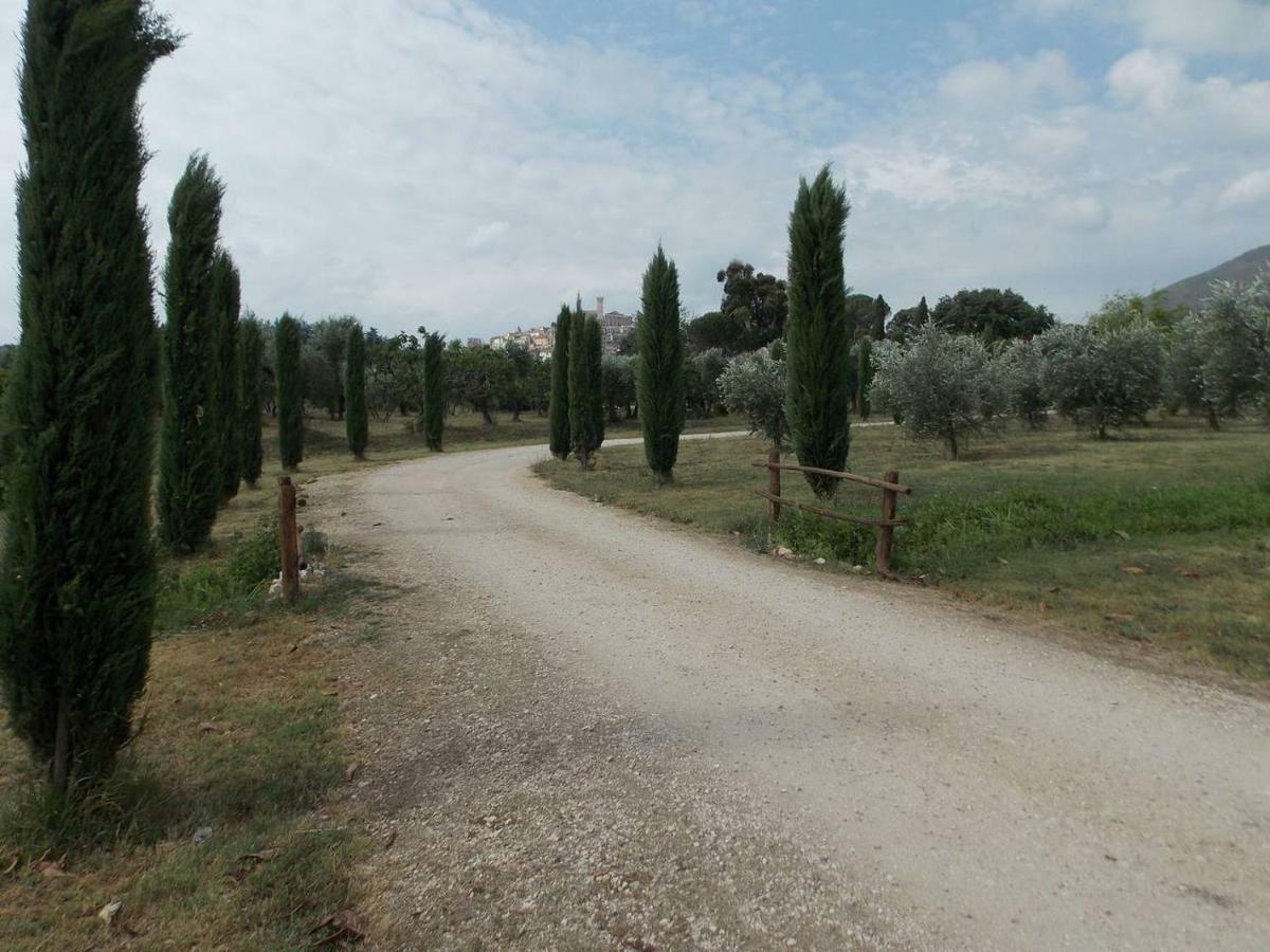 Agriturismo Cento Ducati Palombara Sabina Exteriör bild