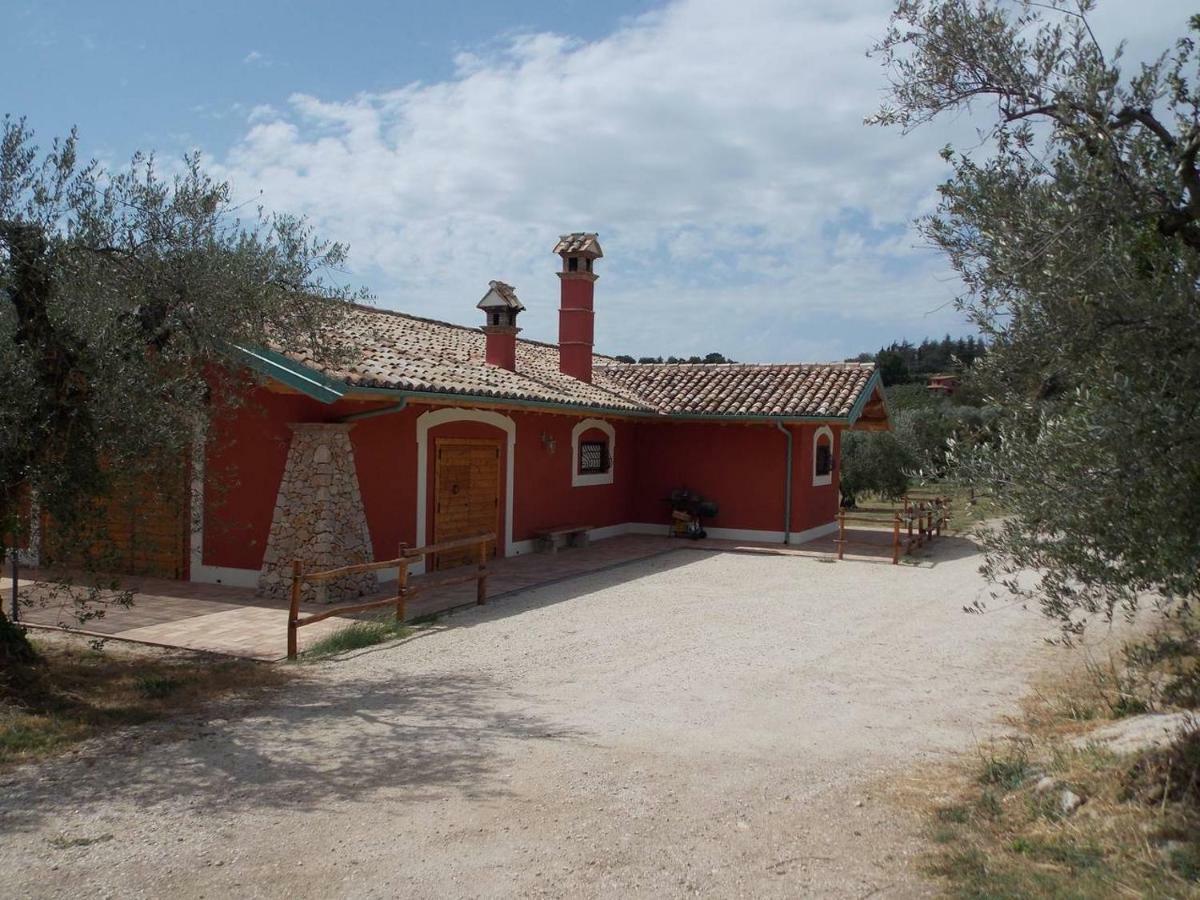 Agriturismo Cento Ducati Palombara Sabina Exteriör bild